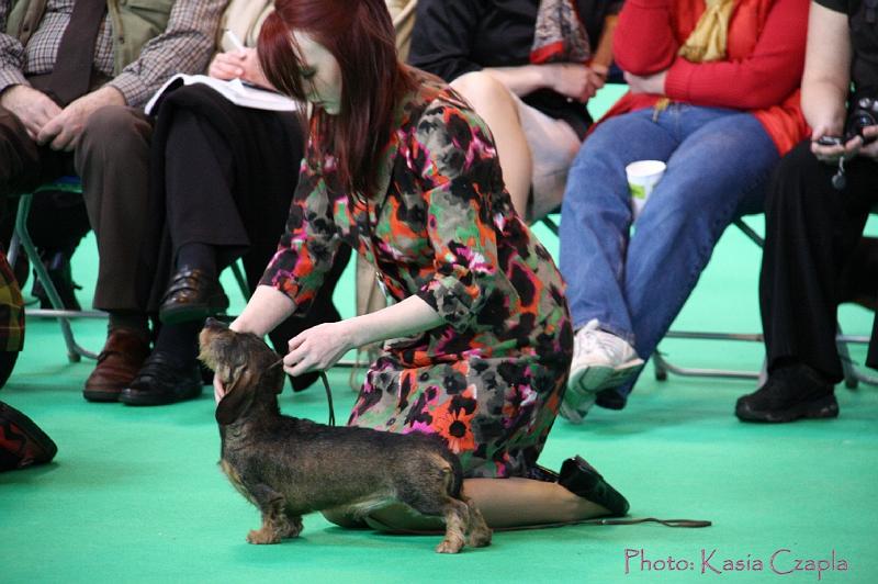 Crufts2011_2 911.jpg